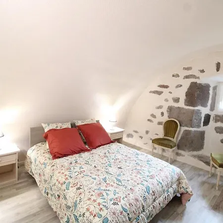 Maison De Caractere A Mandailles-st-julien, 4 Pers, Proche Puy Mary, Jardin, Cheminee, Animaux Ok - Fr-1-742-565 Semesterbostad